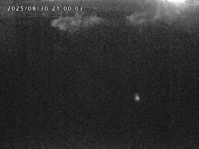 箭渓川１2025/08/31 9:10:00