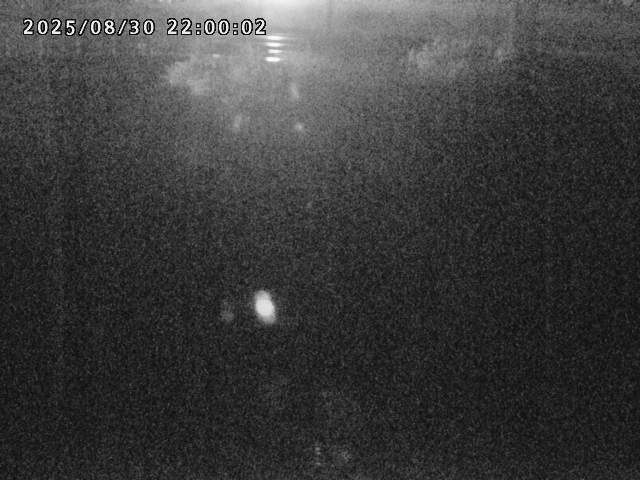 箭渓川１2025/08/31 9:10:00