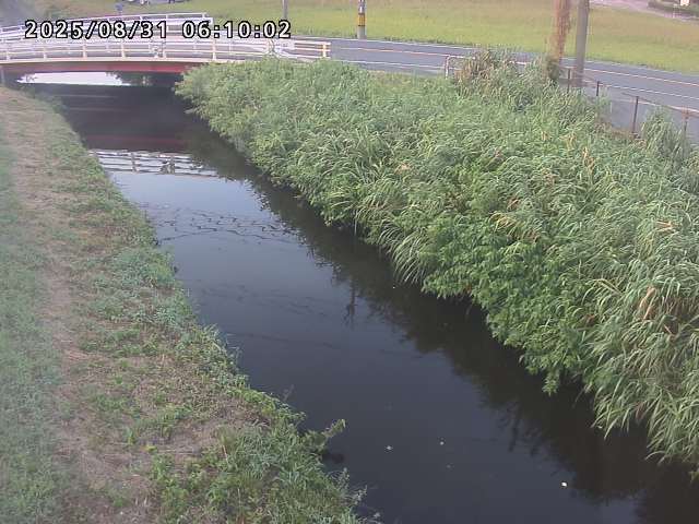 箭渓川１2025/08/31 9:10:00