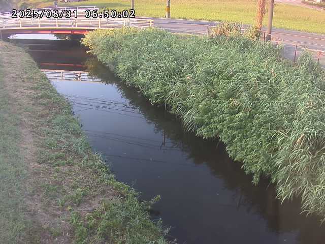 箭渓川１2025/08/31 9:10:00