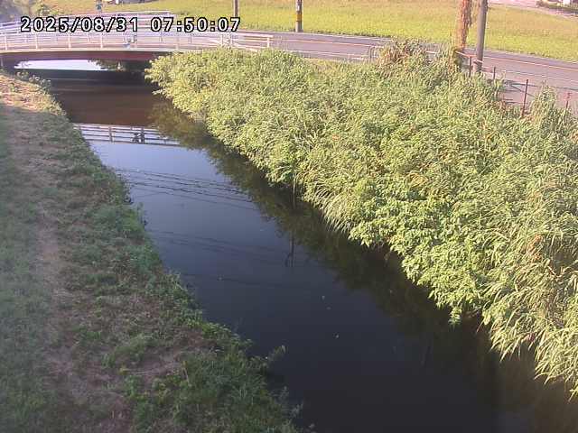 箭渓川１2025/08/31 9:10:00
