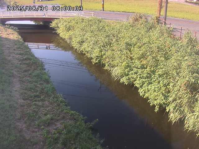箭渓川１2025/08/31 9:10:00