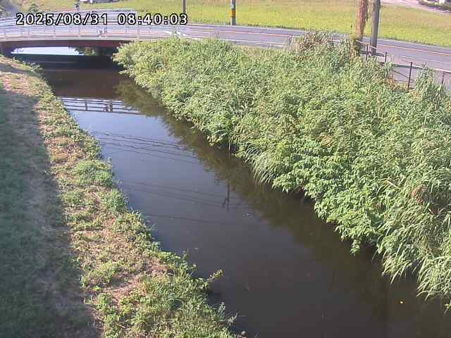 箭渓川１2025/08/31 9:10:00