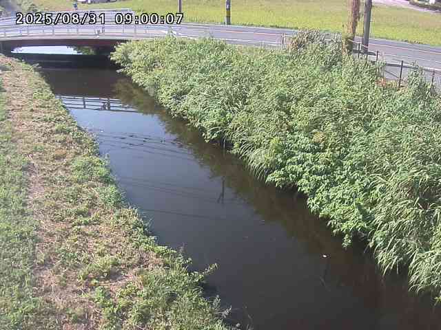 箭渓川１2025/08/31 9:10:00