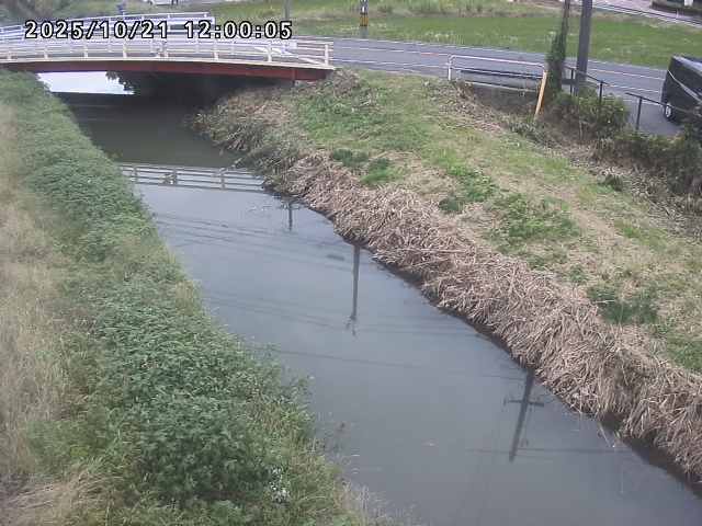 箭渓川１2025/10/22 11:20:00