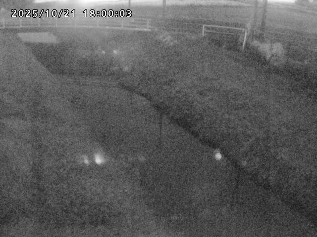 箭渓川１2025/10/22 11:20:00