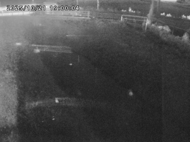 箭渓川１2025/10/22 11:20:00