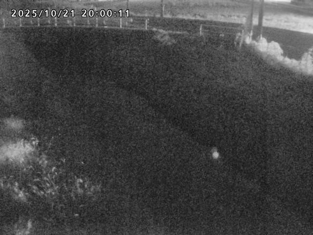 箭渓川１2025/10/22 11:20:00