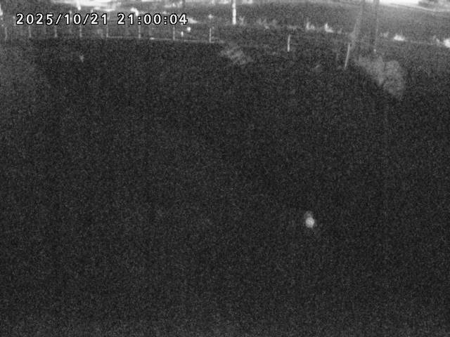 箭渓川１2025/10/22 11:20:00