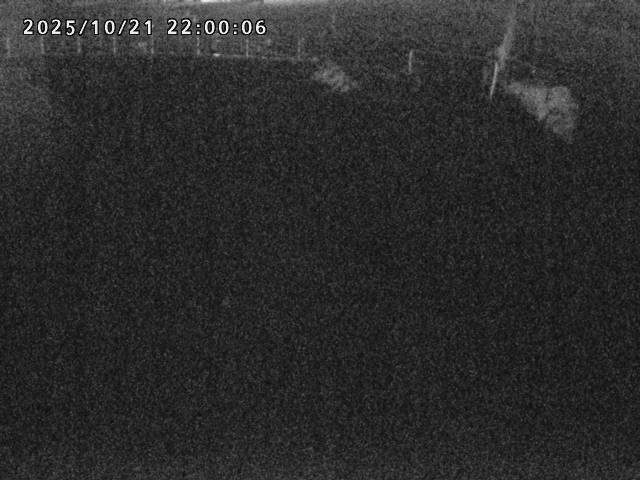 箭渓川１2025/10/22 11:20:00