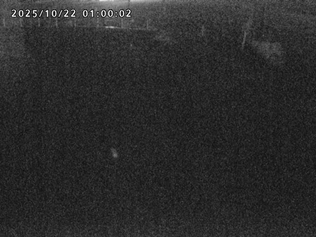 箭渓川１2025/10/22 11:20:00