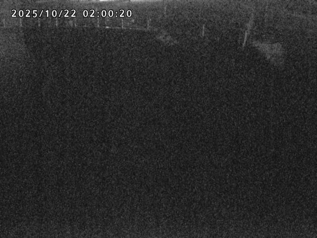 箭渓川１2025/10/22 11:20:00