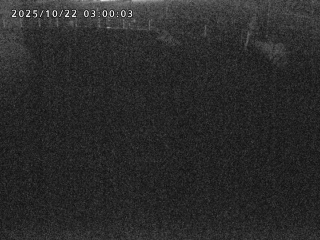 箭渓川１2025/10/22 11:20:00