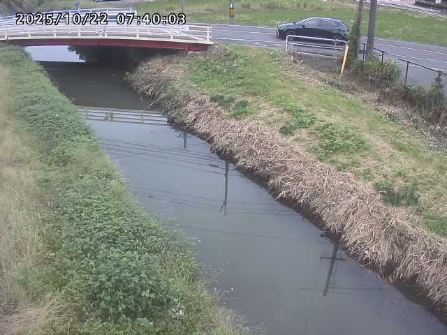 箭渓川１2025/10/22 11:20:00