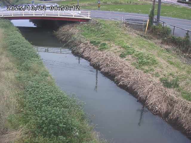 箭渓川１2025/10/22 11:20:00