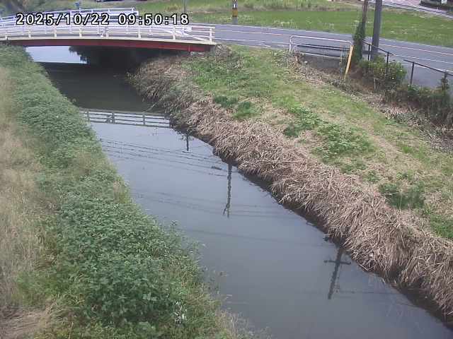 箭渓川１2025/10/22 11:20:00