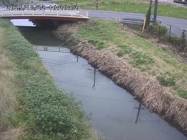 箭渓川１2025/10/22 11:20:00