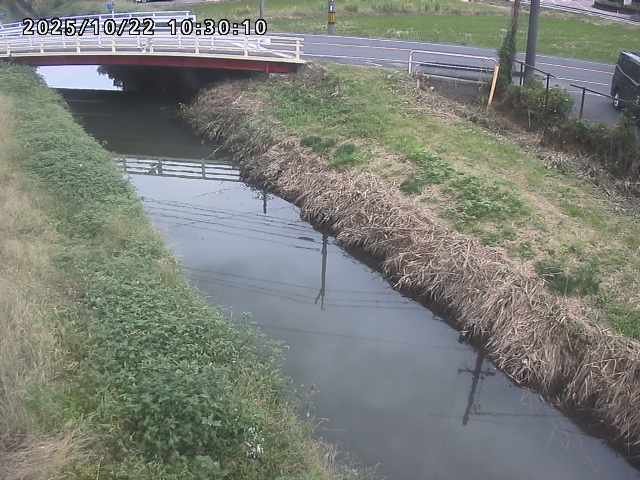 箭渓川１2025/10/22 11:20:00