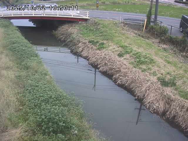 箭渓川１2025/10/22 11:20:00