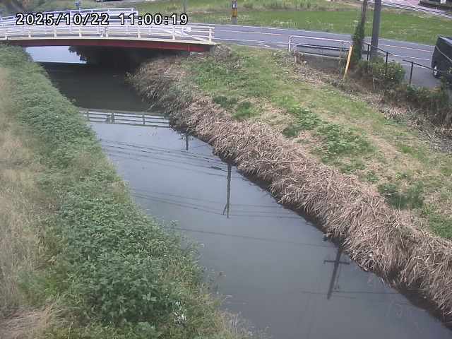 箭渓川１2025/10/22 11:20:00