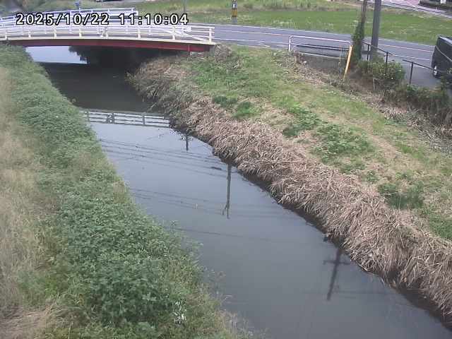 箭渓川１2025/10/22 11:20:00
