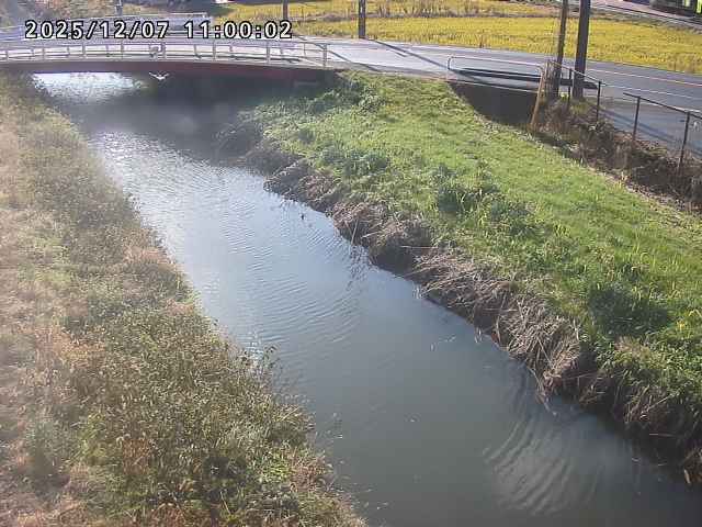箭渓川１2025/12/08 11:30:00