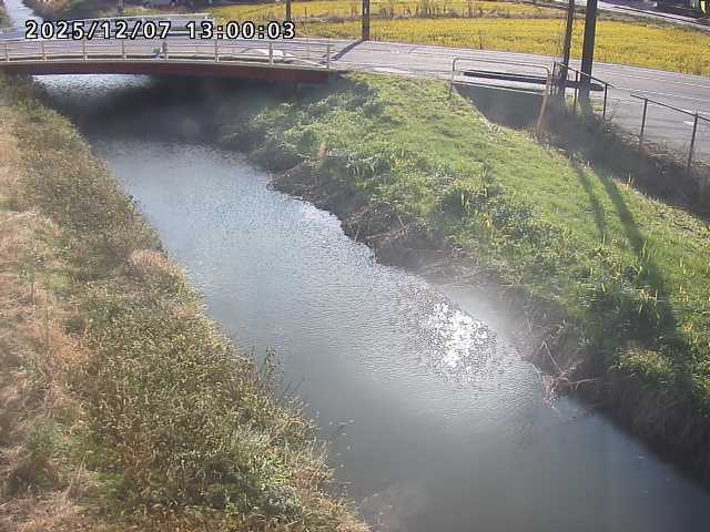 箭渓川１2025/12/08 11:30:00