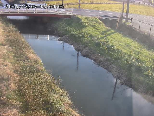 箭渓川１2025/12/08 11:30:00