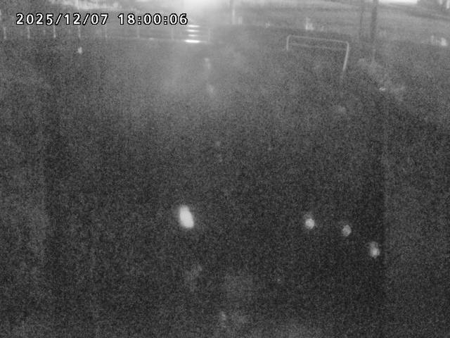 箭渓川１2025/12/08 11:30:00