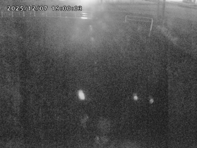 箭渓川１2025/12/08 11:30:00