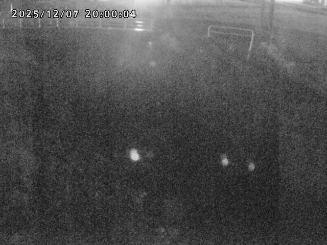 箭渓川１2025/12/08 11:30:00