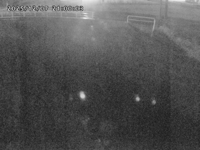 箭渓川１2025/12/08 11:30:00