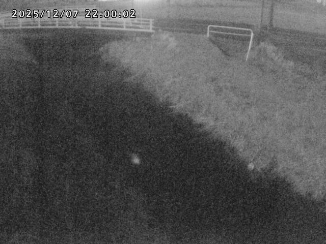 箭渓川１2025/12/08 11:30:00