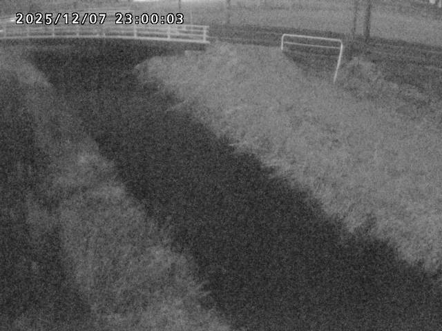 箭渓川１2025/12/08 11:30:00