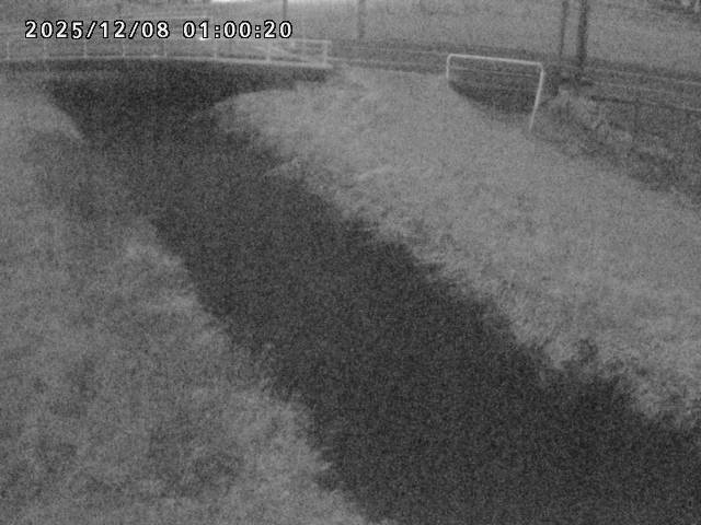 箭渓川１2025/12/08 11:30:00