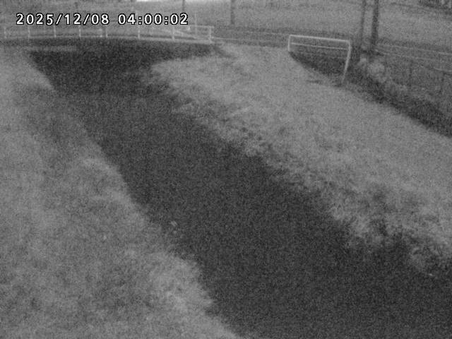 箭渓川１2025/12/08 11:30:00