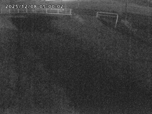 箭渓川１2025/12/08 11:30:00