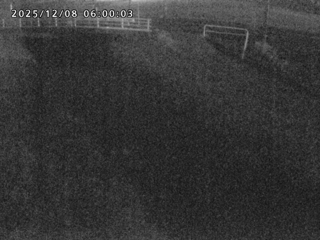 箭渓川１2025/12/08 11:30:00