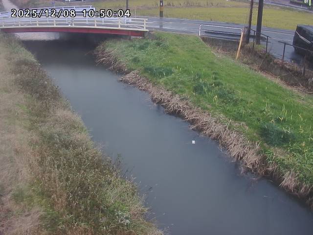 箭渓川１2025/12/08 11:30:00