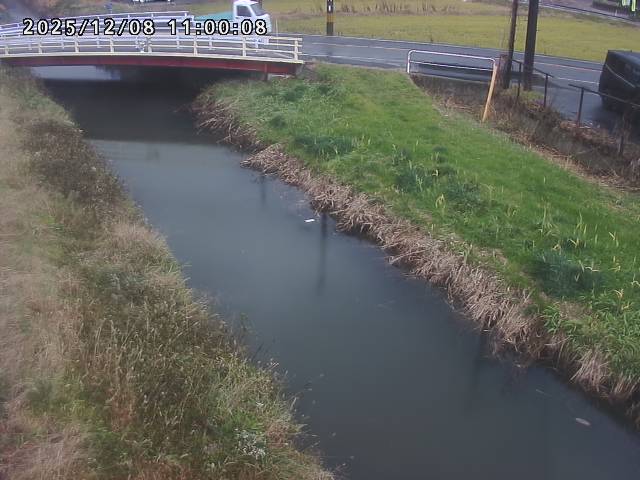箭渓川１2025/12/08 11:30:00