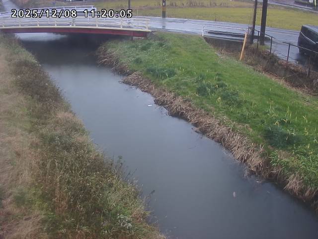箭渓川１2025/12/08 11:30:00