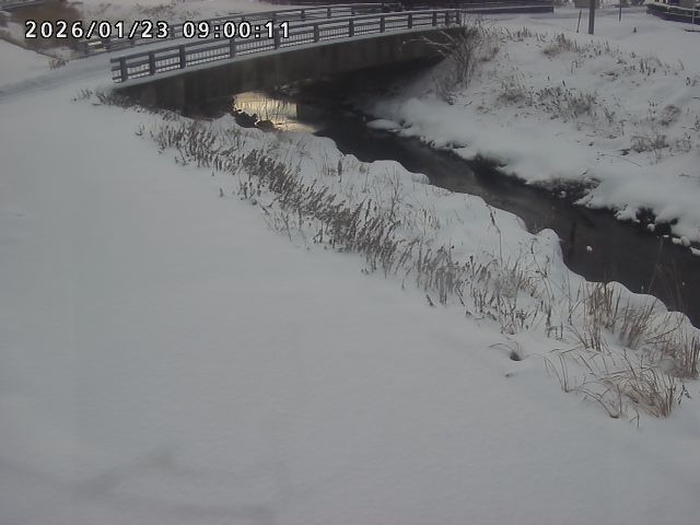 北川１2026/01/24 2:10:00