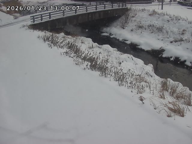 北川１2026/01/24 2:10:00