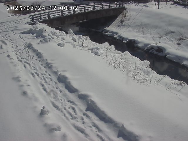 北川１2026/02/25 2:30:00