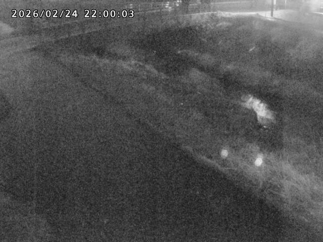 北川１2026/02/25 2:30:00