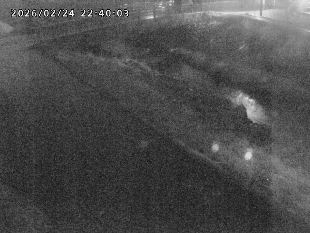 北川１2026/02/25 2:30:00