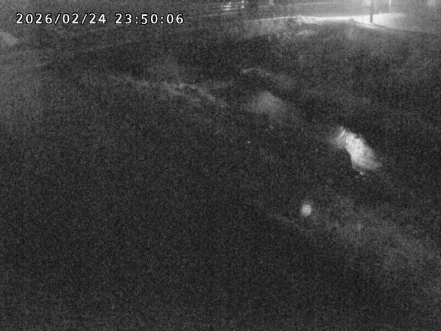 北川１2026/02/25 2:30:00