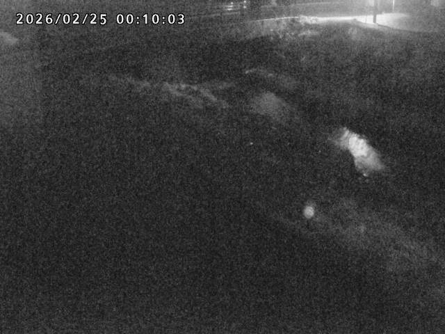 北川１2026/02/25 2:30:00