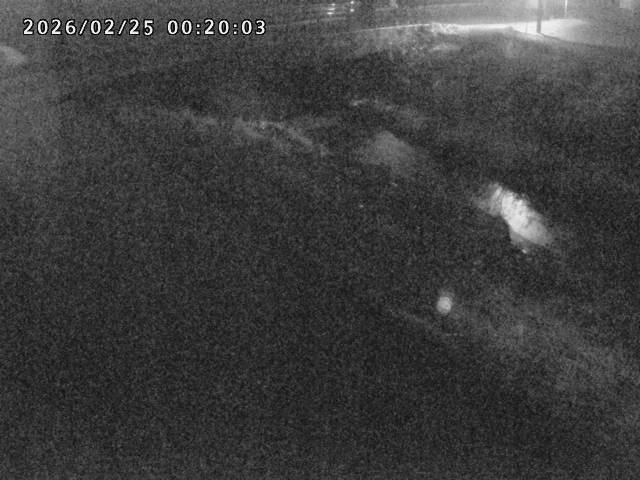 北川１2026/02/25 2:30:00