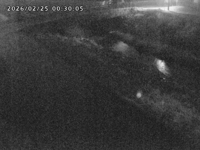 北川１2026/02/25 2:30:00